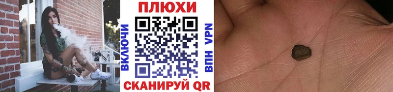 где найти   Стародуб  ГАШ Premium 