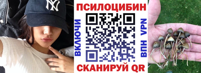 Псилоцибиновые грибы Cubensis  Стародуб 